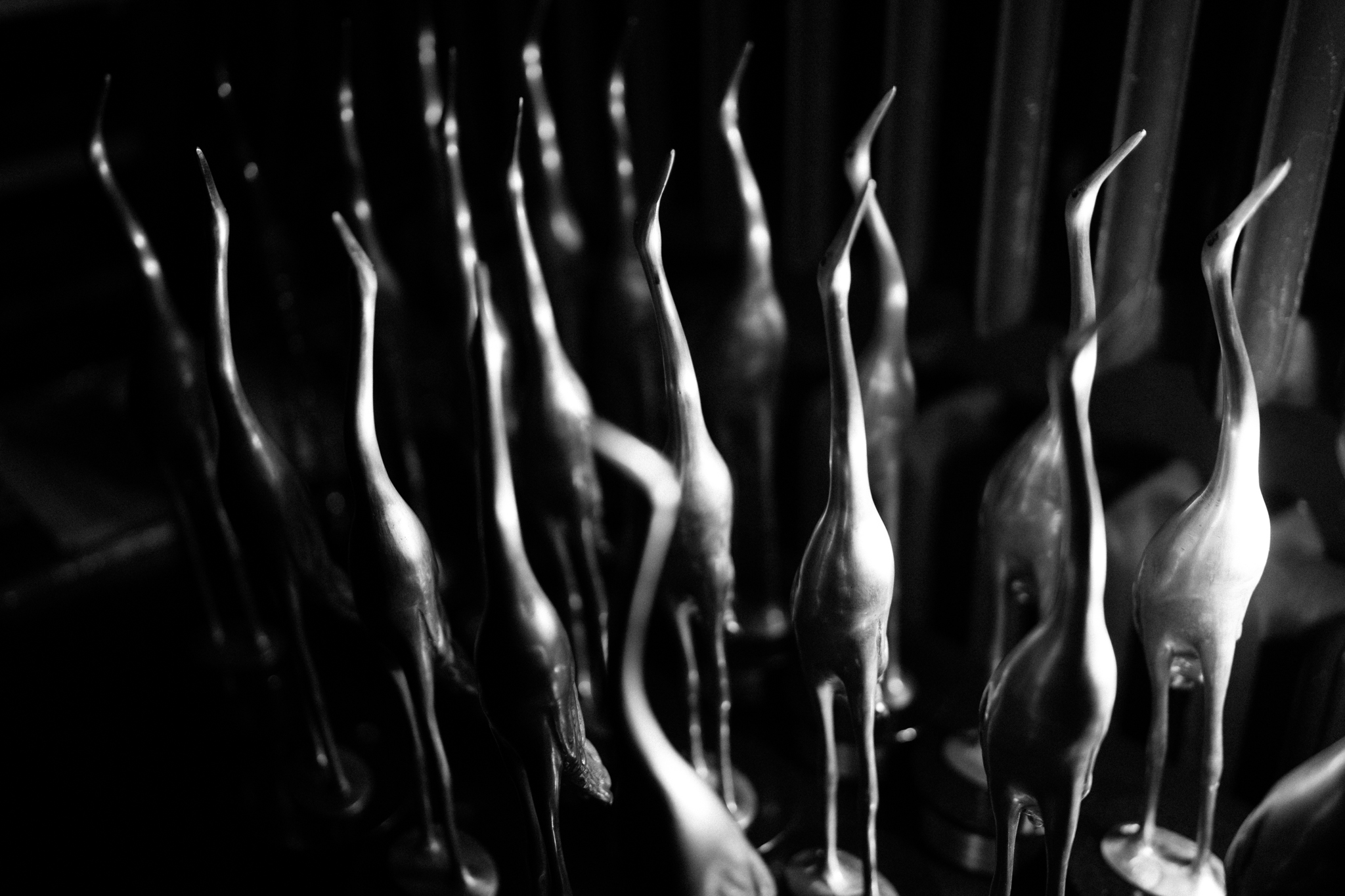 National Film Awards Silver Crane Celebrate 15th Anniversary