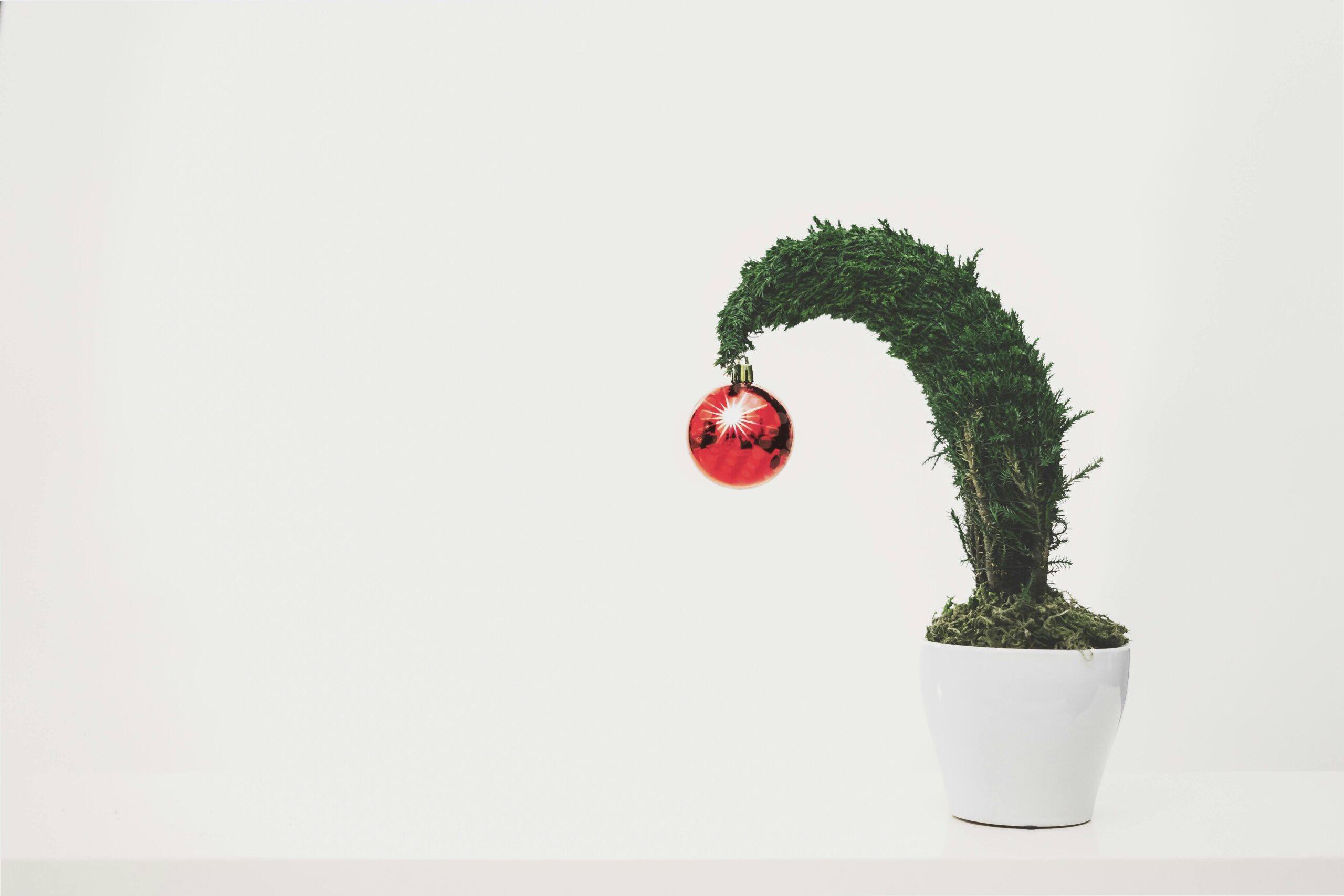 Artificial or Natural Christmas Tree?